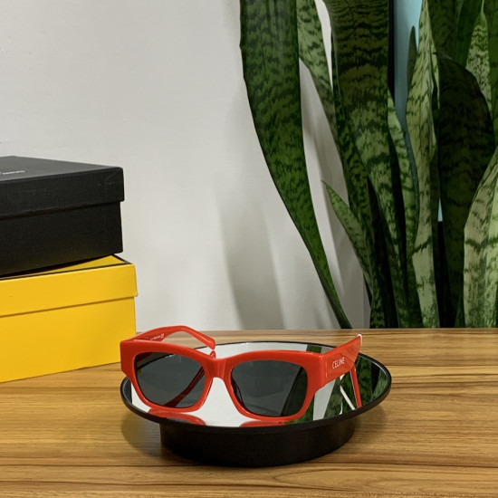 Sunglasses #298